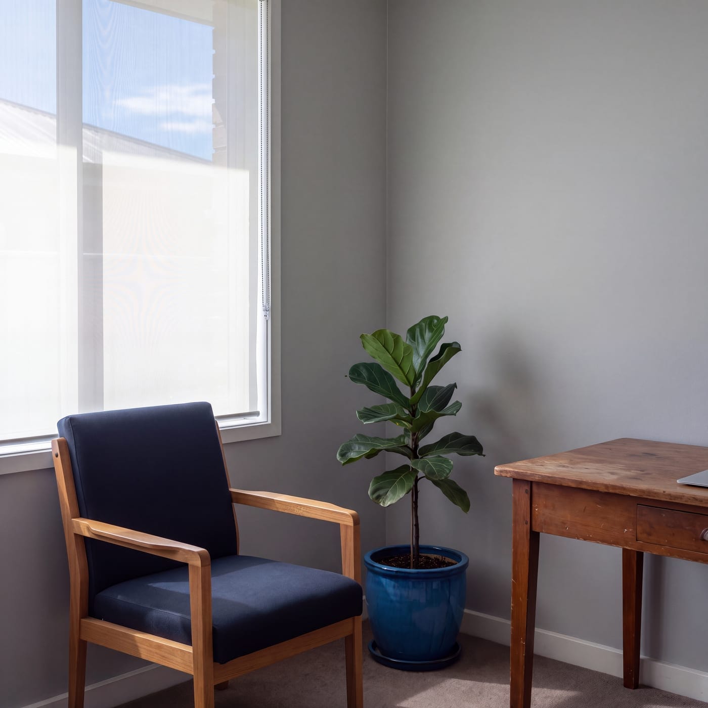 Empty clinic waiting area with an armchair, a pot plant and a side table